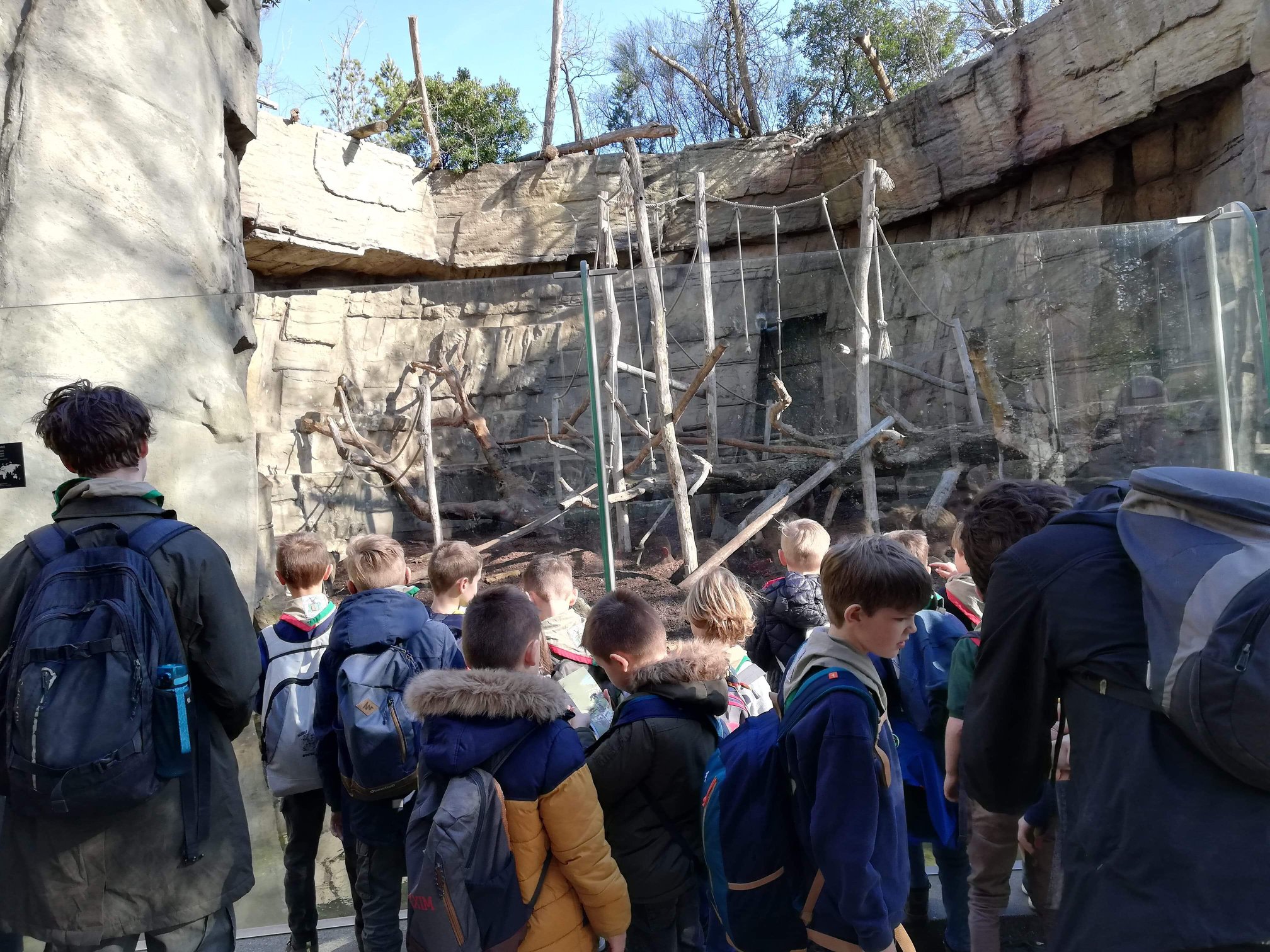 Sint-Martinus den XIIde - Zoo Antwerpen Kapoenen